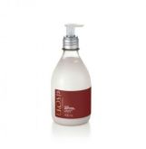 HIDRATANTE EKOS CASTANHA 400 ML
